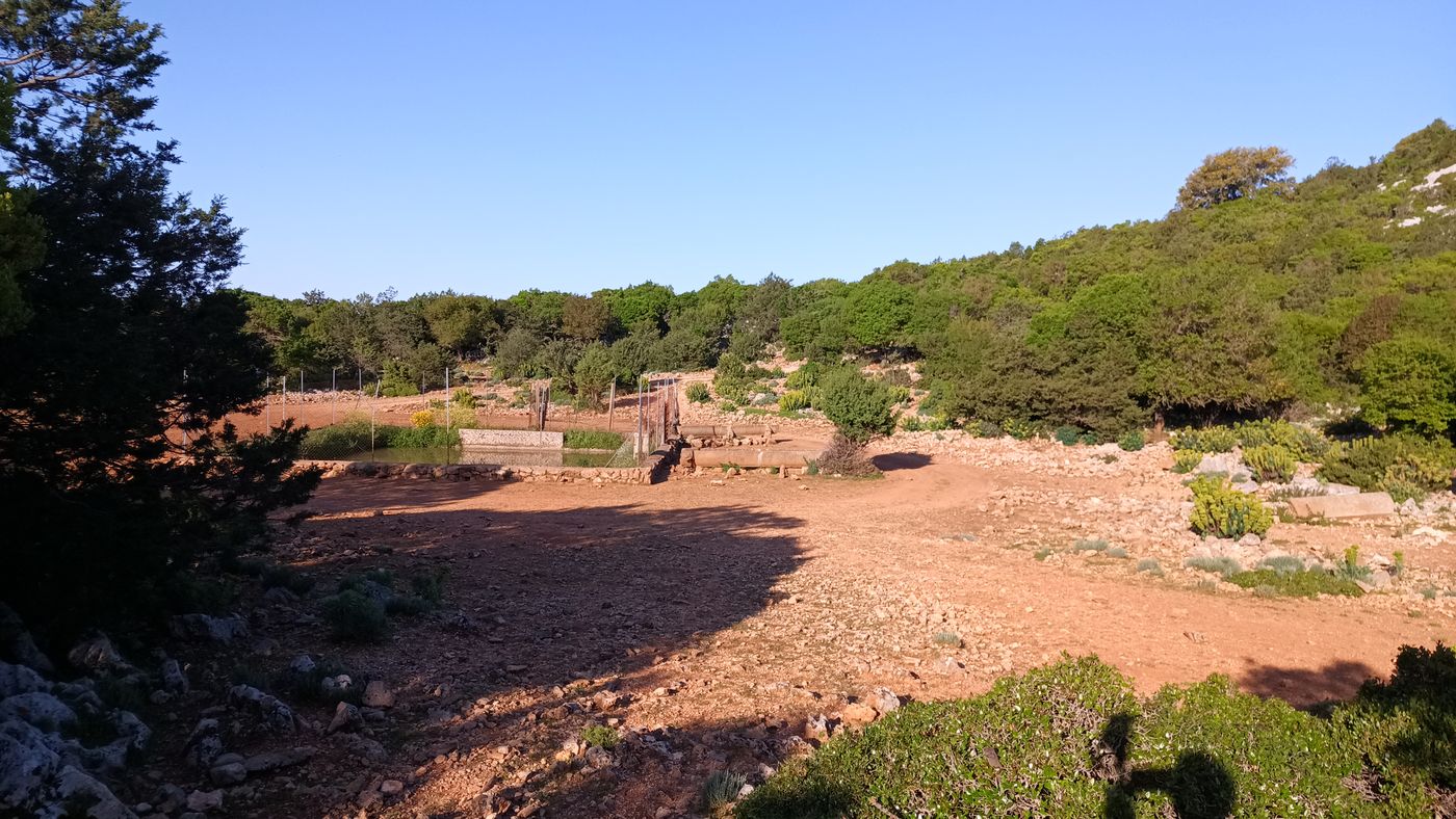 Une clairière avec un point d'eau