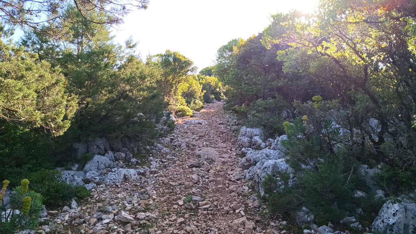 Je retrouve les petits sentiers, bien marqué pour le moment