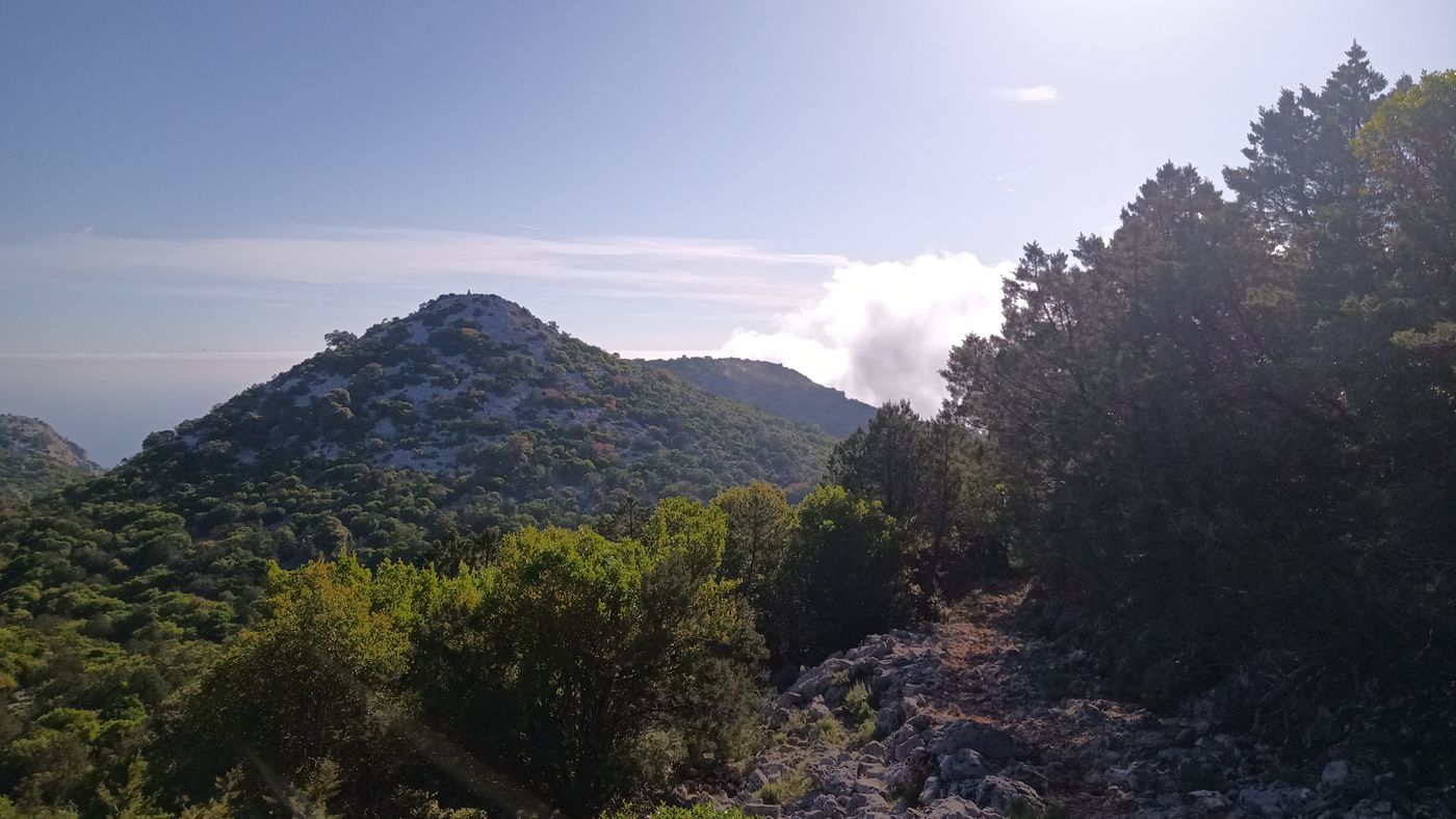 Un nuage se forme et déforme au-dessus de l'eau, mais plus bas que moi