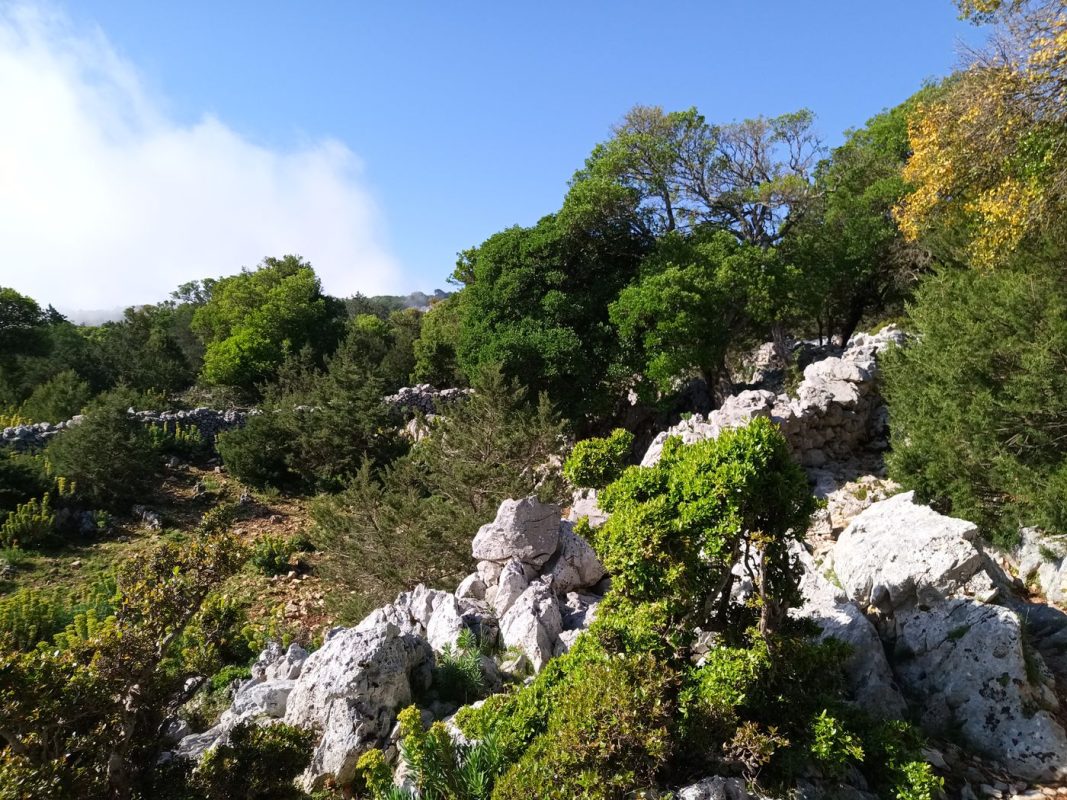 Un mur de pierre en rond parfait