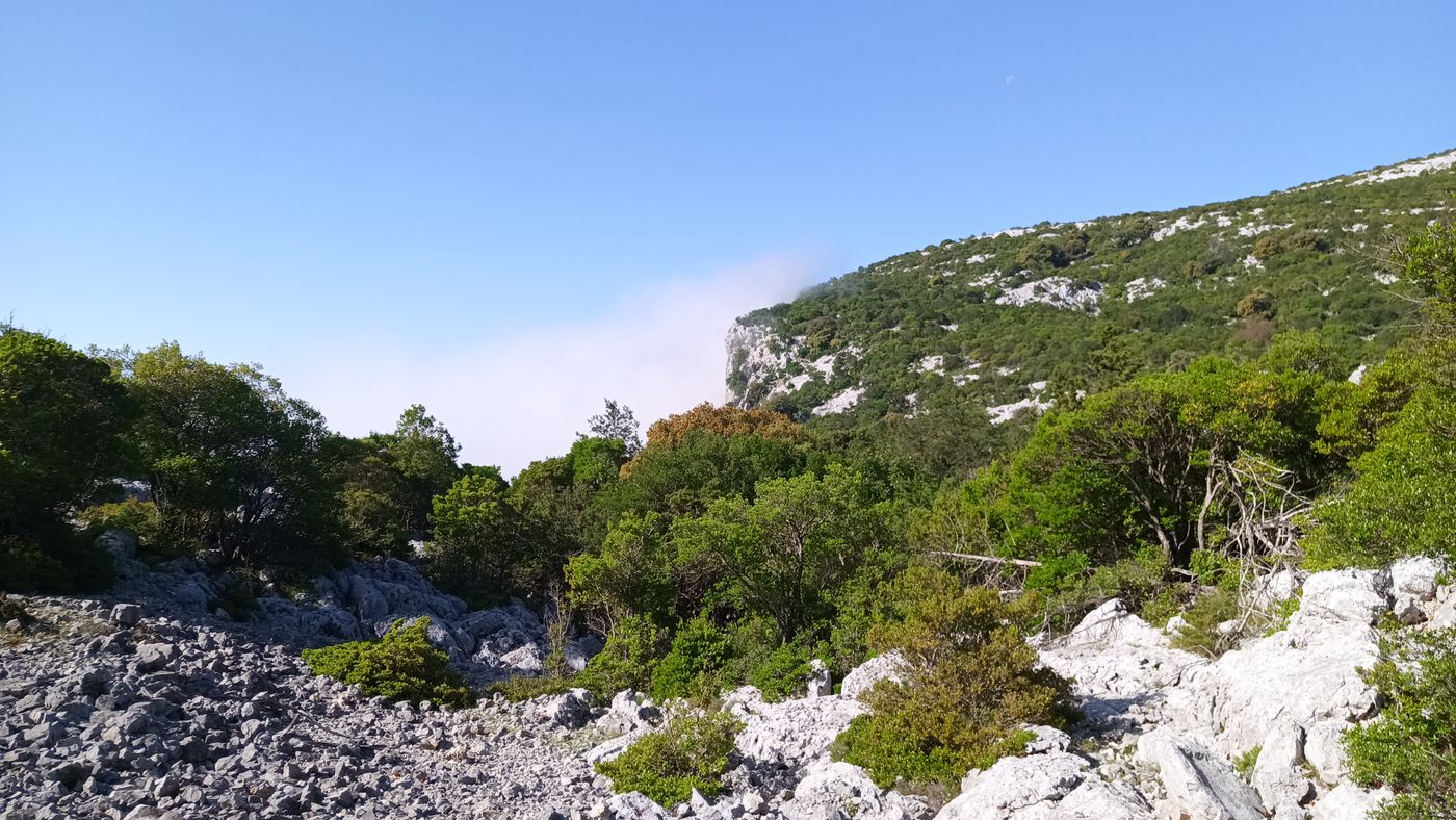 Par là c'est les 800m de falaises
