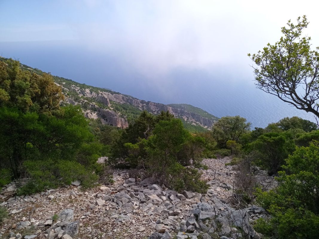 Où est le chemin juste devant moi, et même question au loin