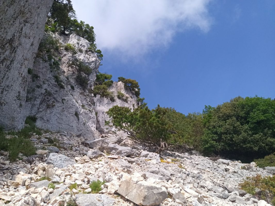 Forcément vu d'en bas on comprend pourquoi on n'avance pas vite