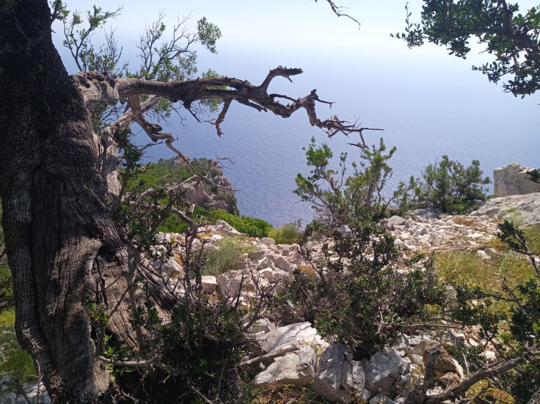 Le coin pour une petite collation de 10h40