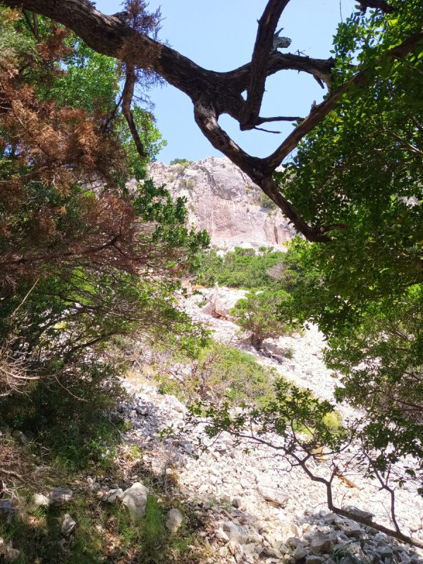 Mais par où on passe