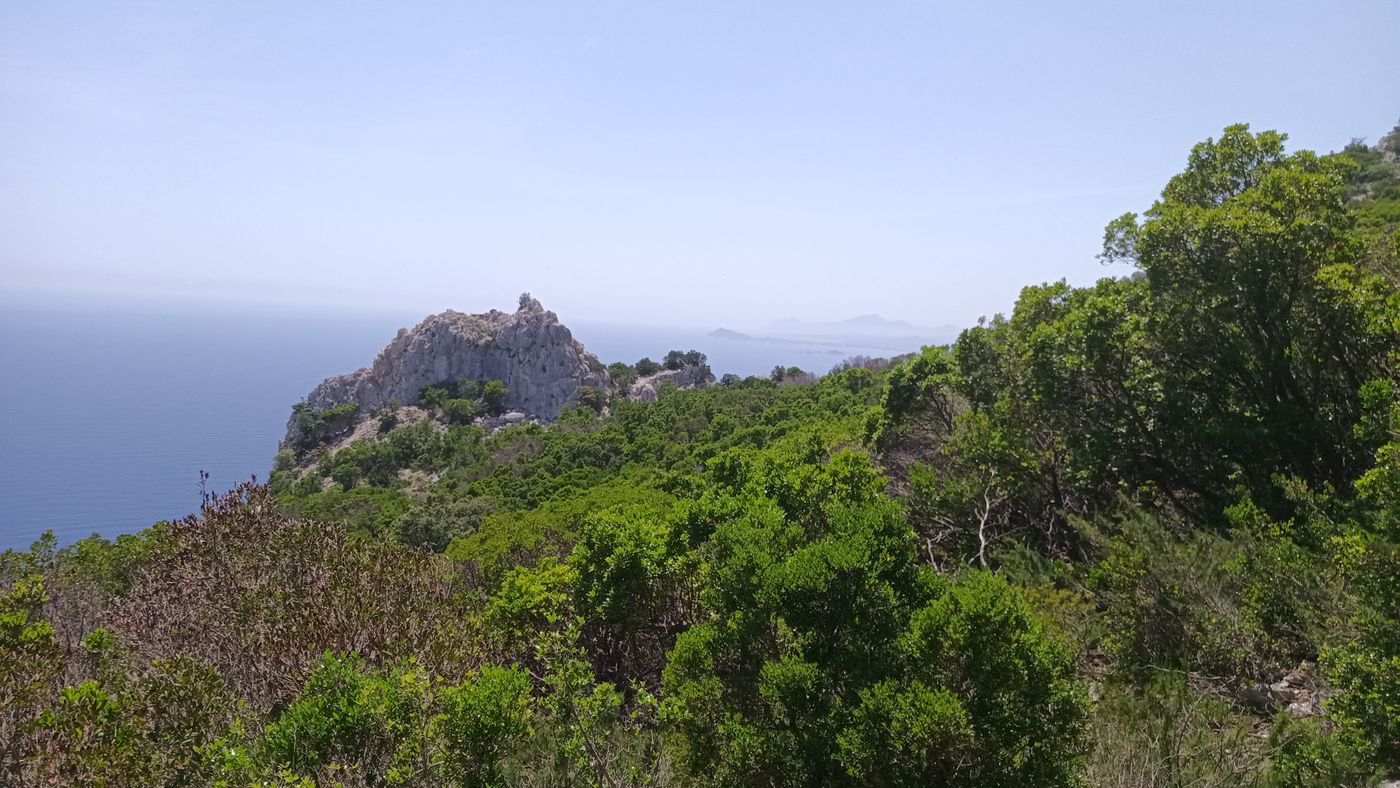 La vue pour le pique-nique