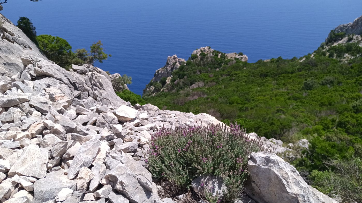 Je repars dans la caillasse