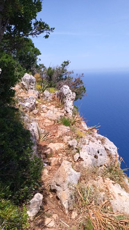 Sol tacheté, c'est bien sur cette corniche le sentier