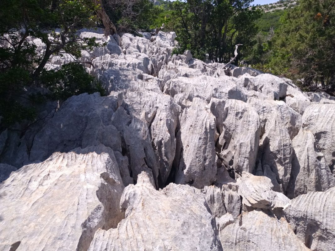C'est reparti pour un passage au milieu des lames de razoir