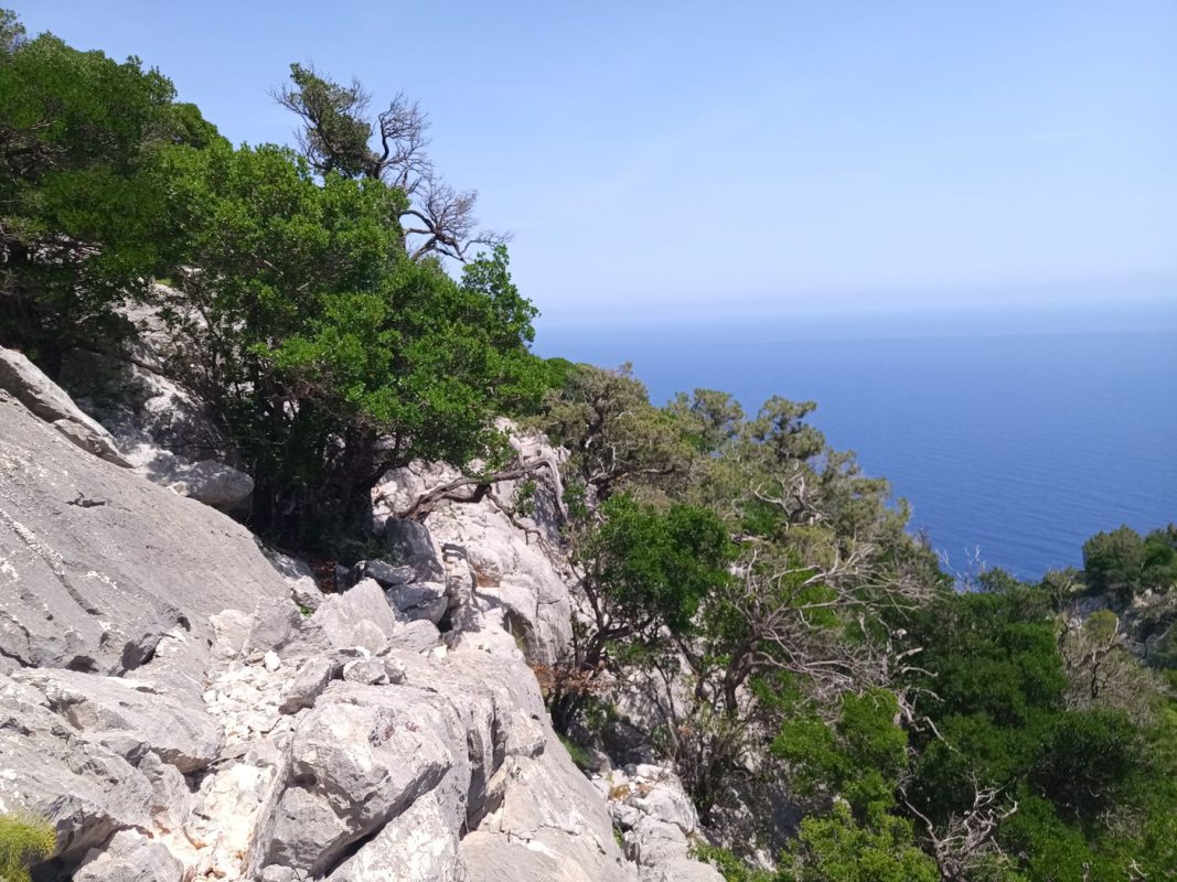 Peut-être c'est le chemin ?