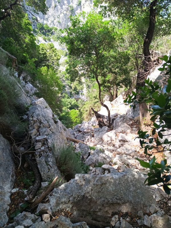 Entre les falaise, un canyon