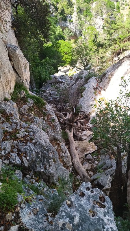 Après 2 allers retours au cas où j'aurais raté un sentier, ça ne peut être que là