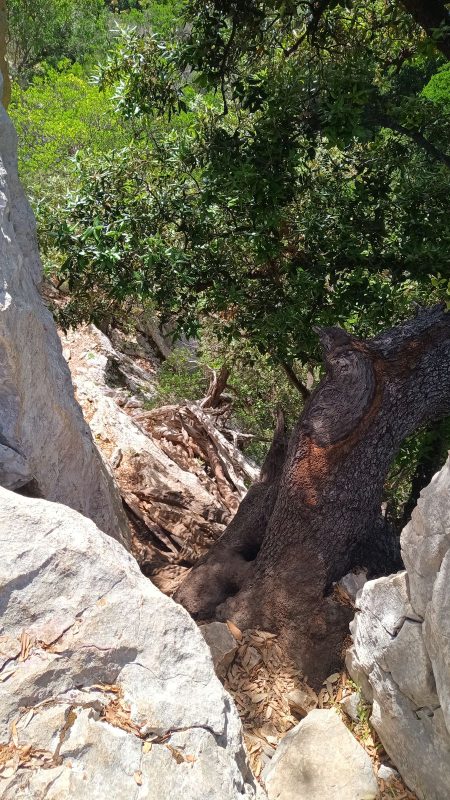 Arrivé en bas, je retrouve un passage 'sécurisé' a flan de falaise