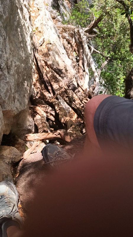 C'est parti, d'un pas hésitant