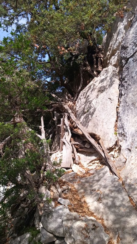 Arrivé en bas, je suis rassuré, ça craquais pas mal