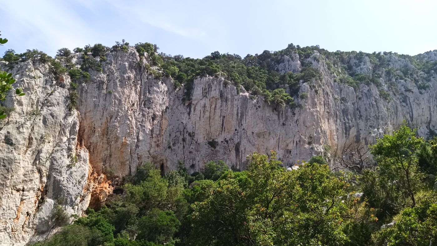 Je suis passé en face, je me demande par où !