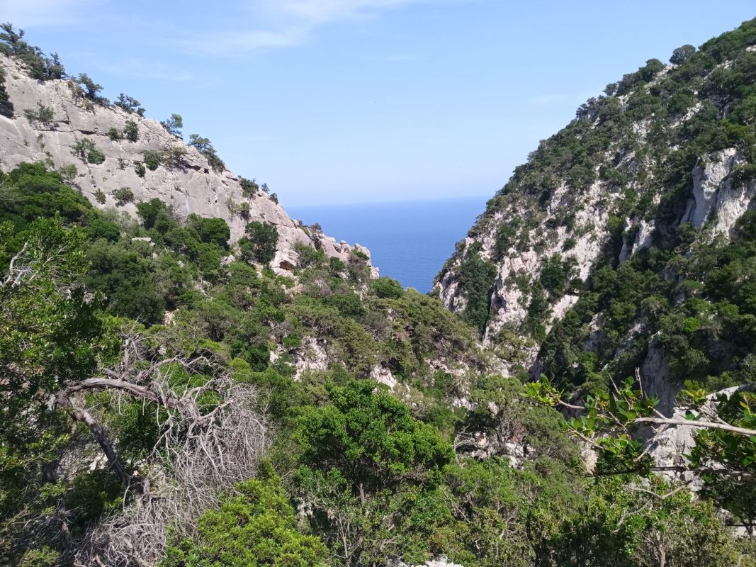 Ca y est, encore perdu