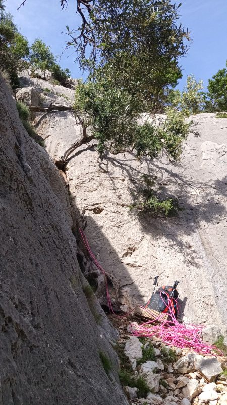 Début d'ascension, on voit le sentier plus haut (tronc coucher et câble)