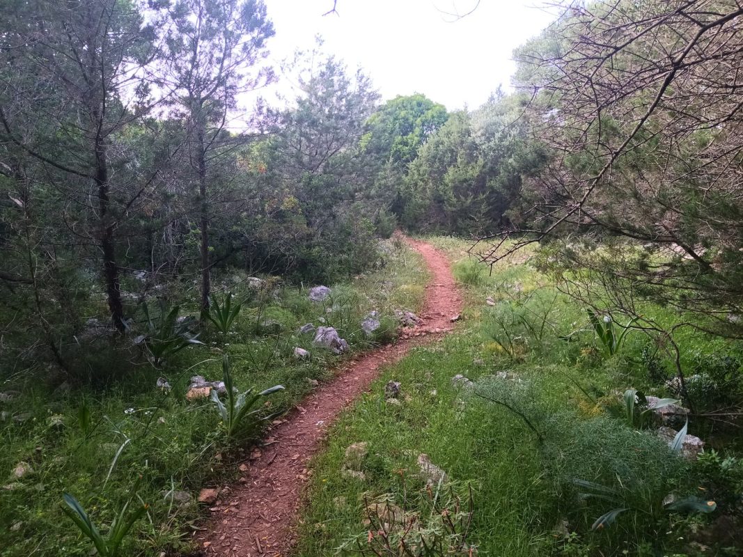 Un superbe sentier, ca change