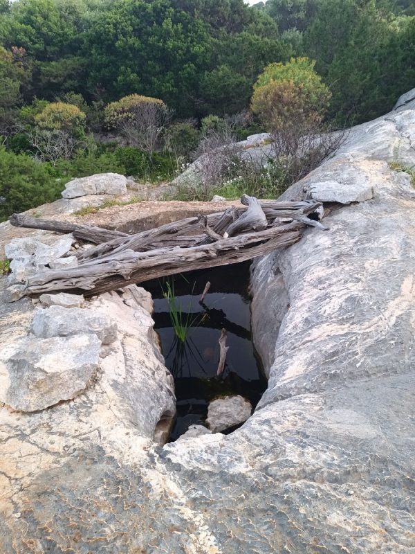 Plein de bassines d'eau saumâtre