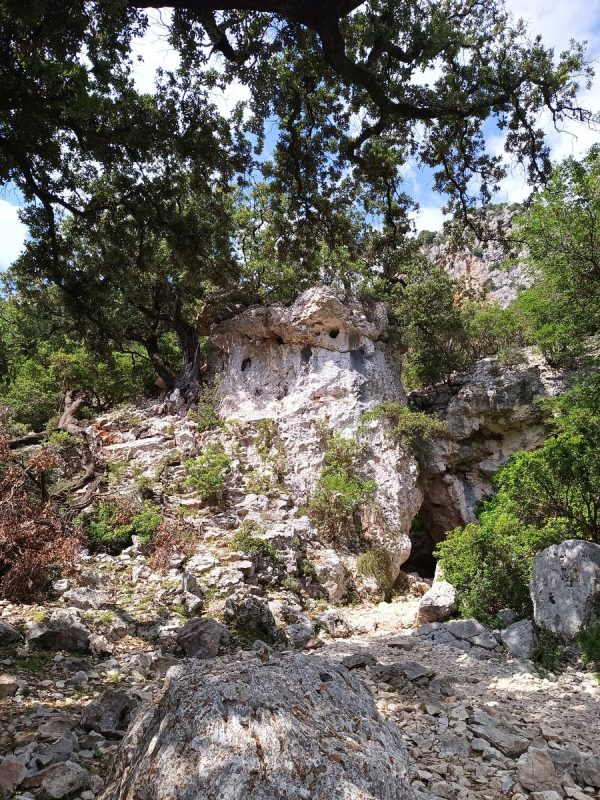 Encore perdu : où est le sentier ?