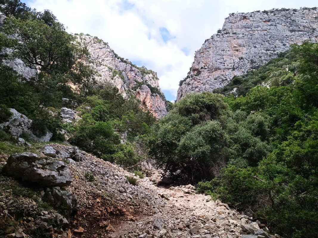 Pourtant, c'est sur c'est dans cette direction, ailleurs c'est des falaises à pic !