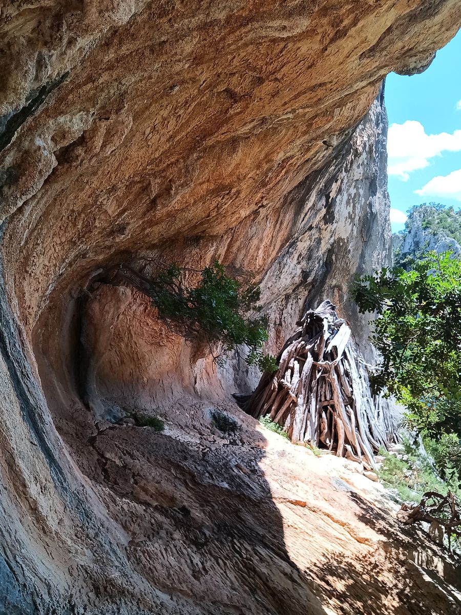 Sous un dévers de falaise