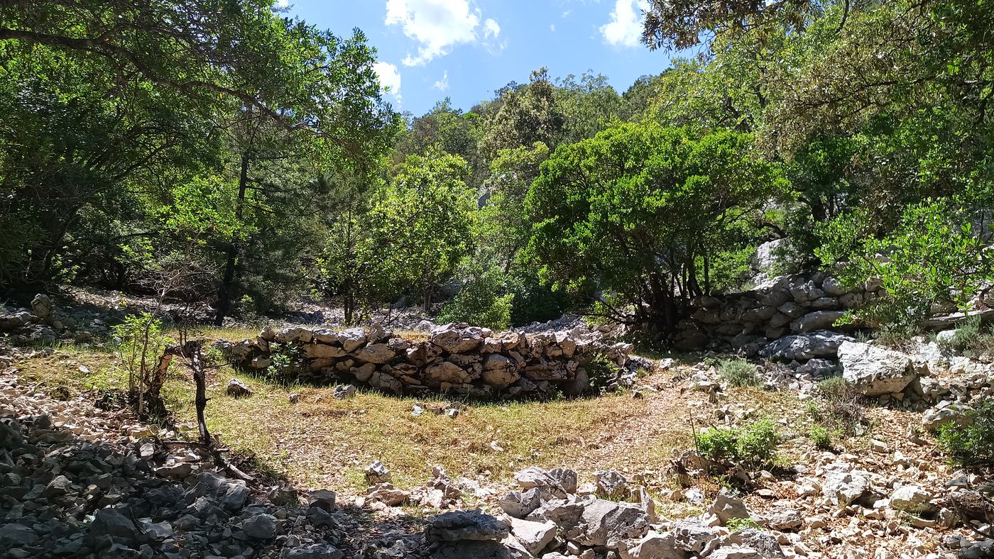 Y'a plein de terrasse sui semble indiqué que cette vallée était cultivé à une époque.