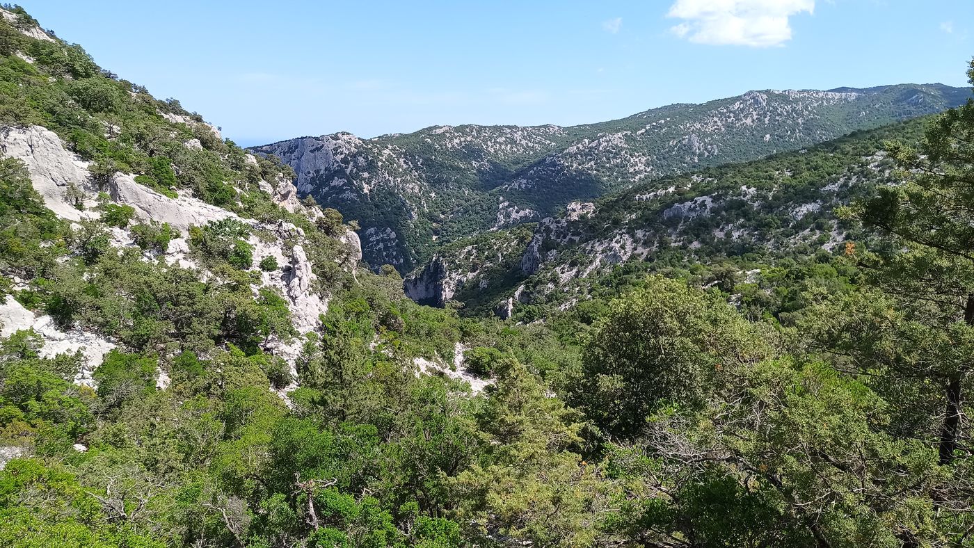 L'autre bout de la vallée étroite que j'ai monté.