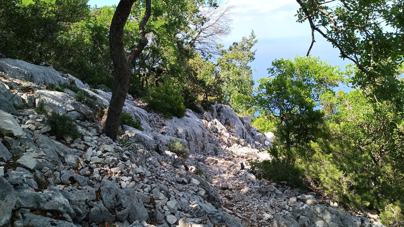 La recherche de la source !