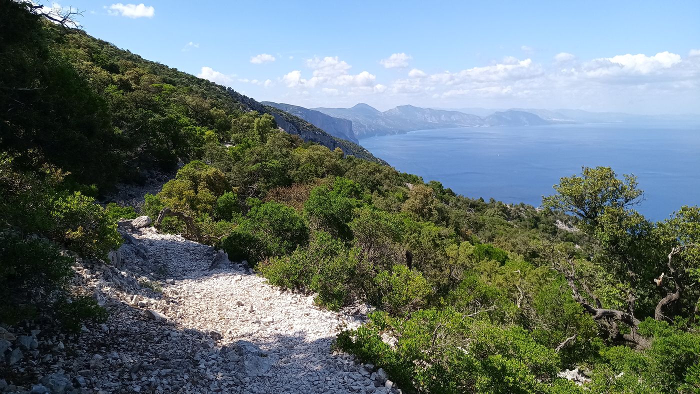 Le sentier qui descend avec une vue sur la côte