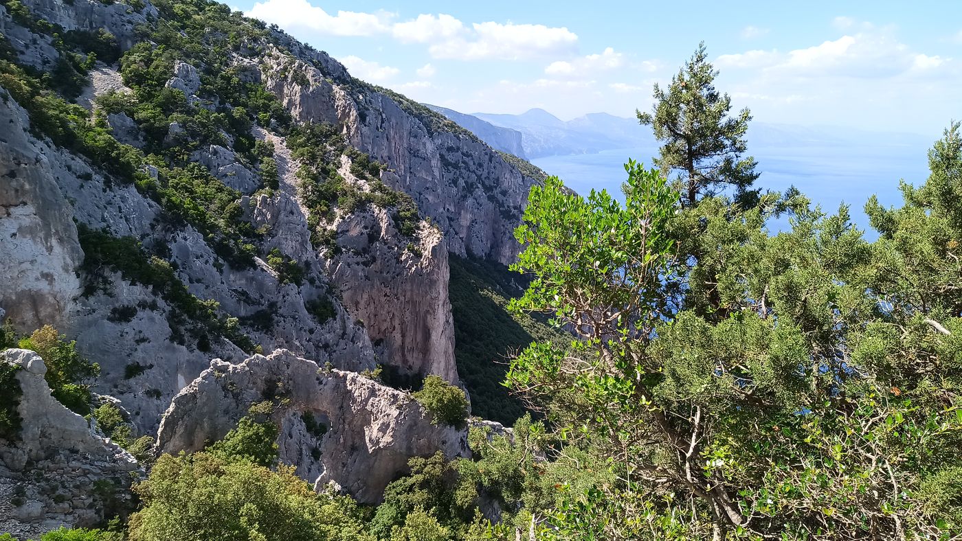 En contrebas, l'Arche Serra Maore