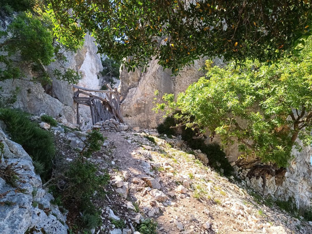 La porte devant l'arche !