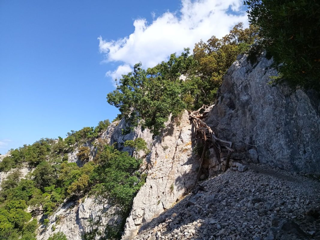 Les escaliers au dessus du vide en genévrier