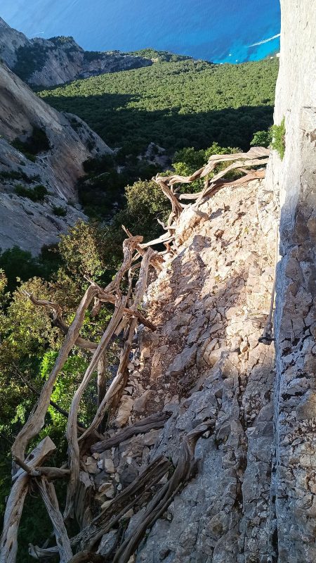 La suite du sentier est encore plus aérienne !