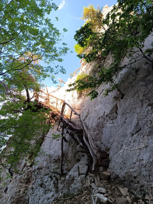 Et en c'est naturel dans le paysage