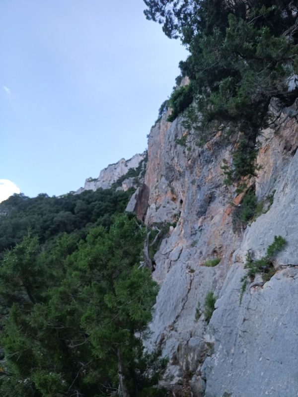 Au bout d'un moment, je me retourne, et le chemin inverse semble encore plus compliqué que d'avancer