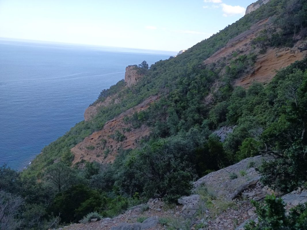 Par contre, au dessus des falaise, la vue est magnifique