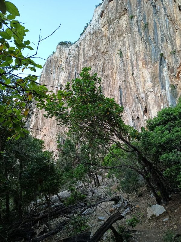 Enfin sur un sentier