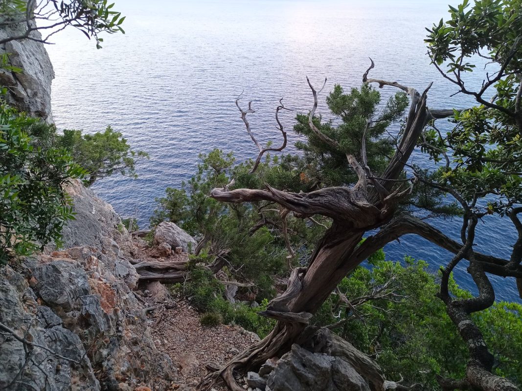 Sauf que c'est pas fini pour les passage casse coup et les impasses