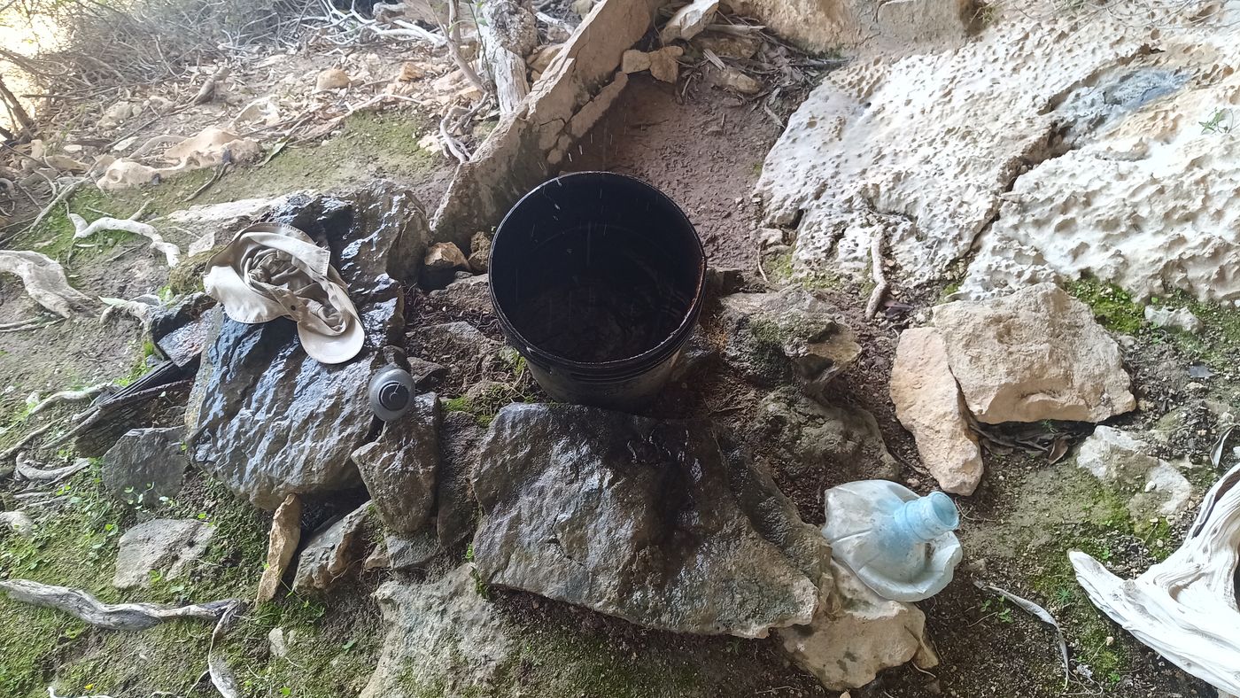 Je fait un brin de toilette à l'eau douce pour enlever un peu de sang coagulé