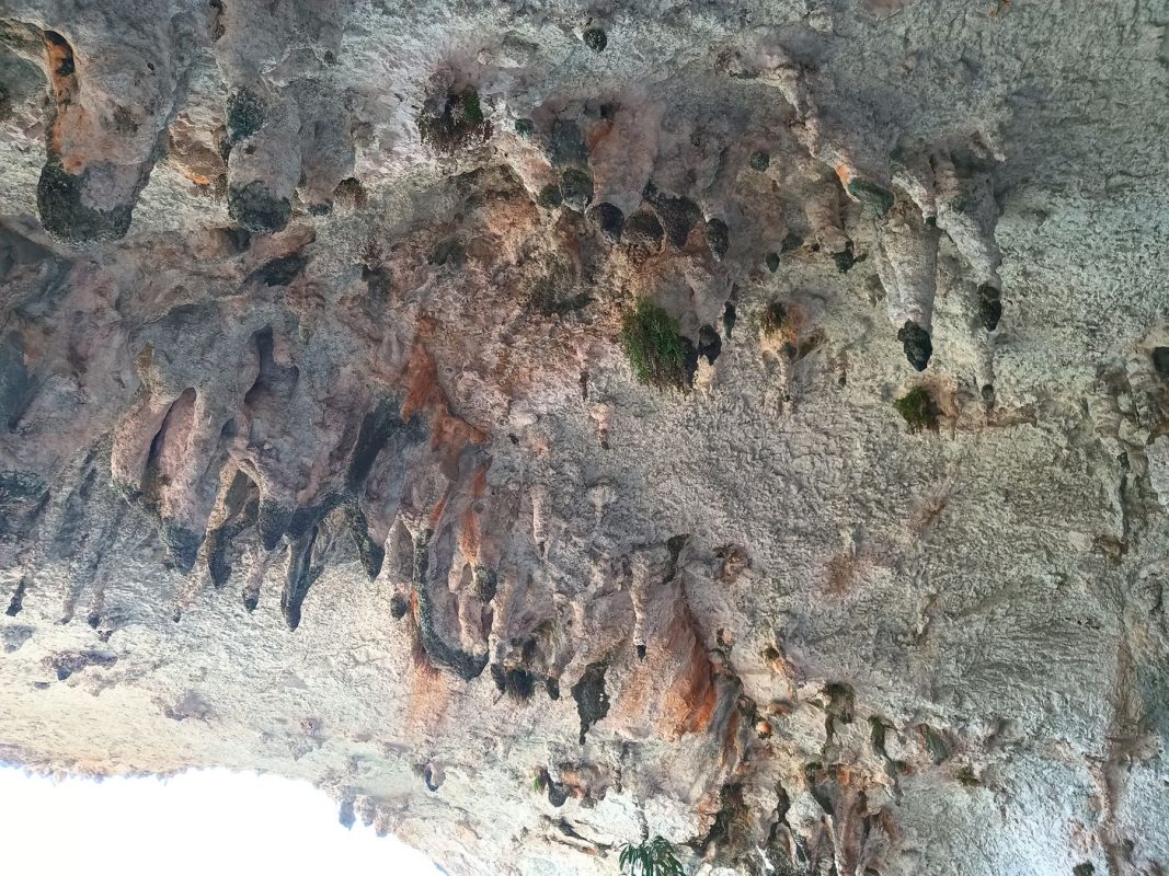 L'eau tombe de ces stalactites