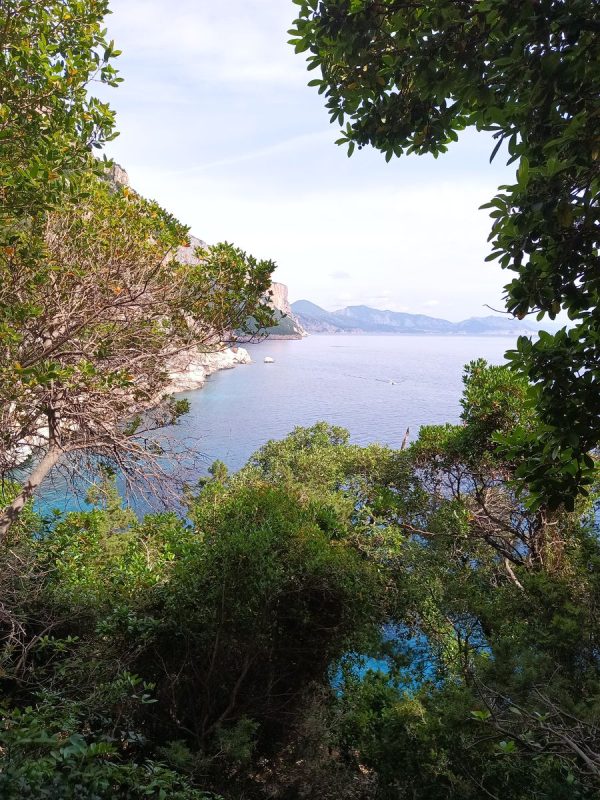 Quelle vue !