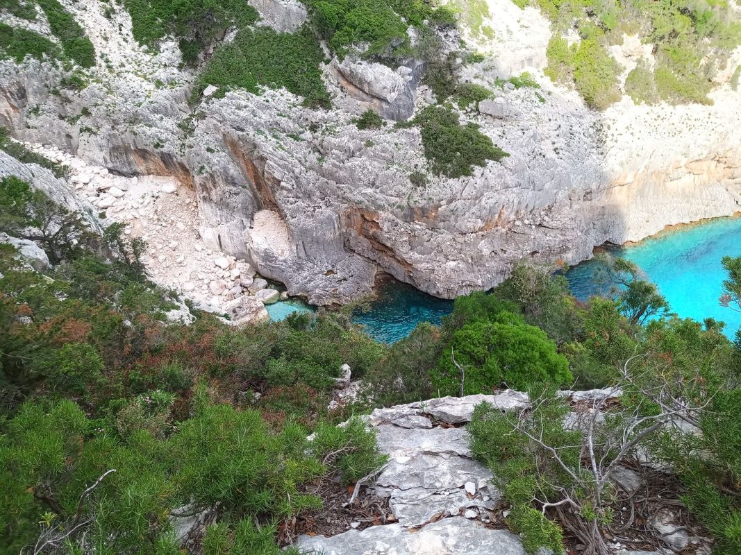 Quel couleur !