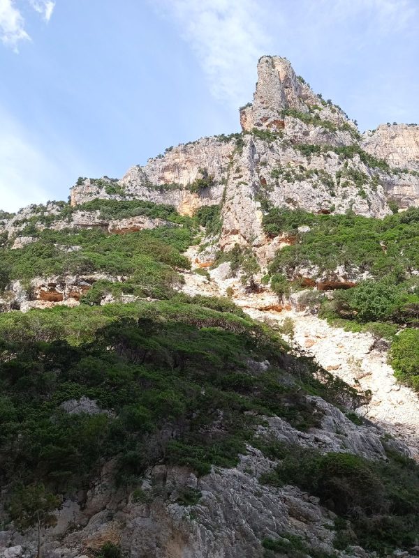 Encore de hautes falaise au dessus de moi
