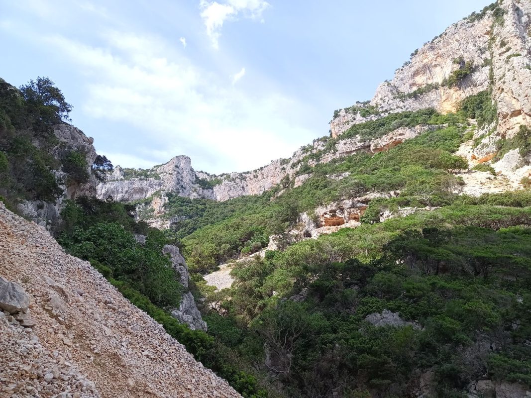 Une grande vallée au fond