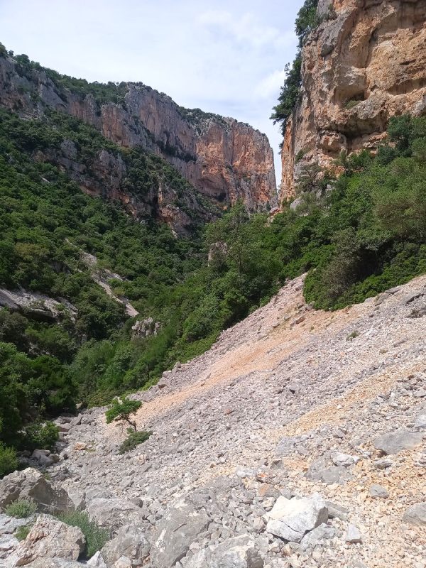 Dans la vallée de Bacu Mudaloru