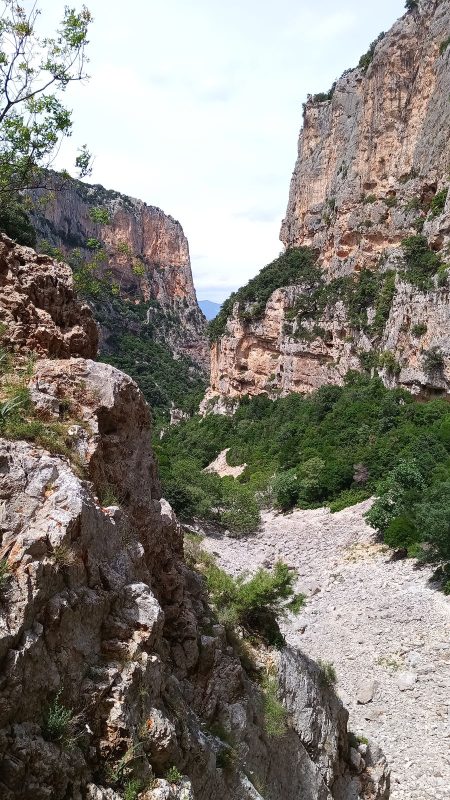 Derrière moi, la vallée étroite