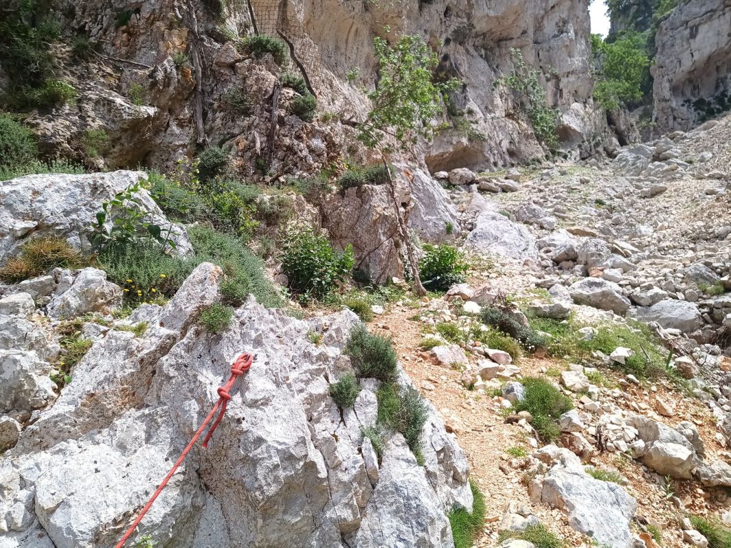 arrivé en haut, d'ancienne grillage (pour les chèvres ?)