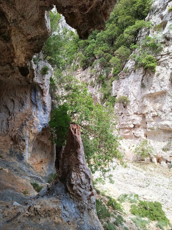 La première est facilement accessible, avec un reste de stalactite